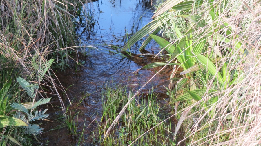 Commercial Property for Sale in Swellendam Rural Western Cape